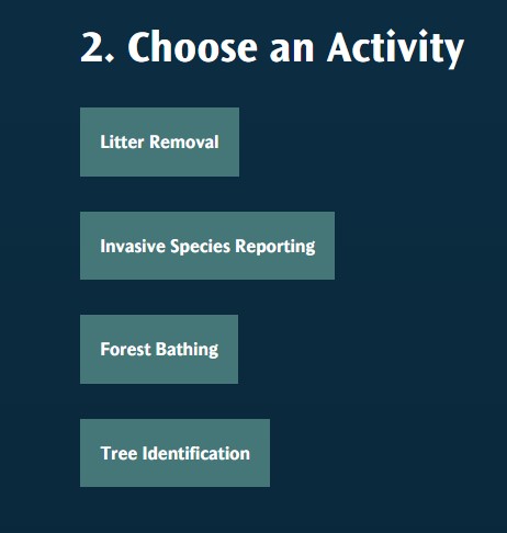 Choose an activity - litter removal, invasive species reporting, forest bathing, tree identification